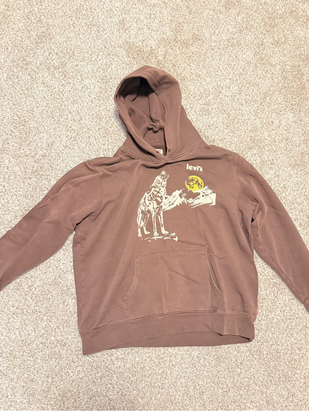 Levi's Brown Hoodie with Graphic Camel Motif